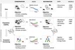 Spatially explicit models for decision-making in animal conservation and restoration